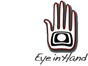 Eye in Hand