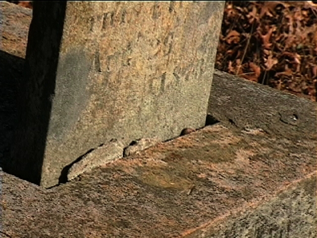 Mount Gilead Cemetery 22