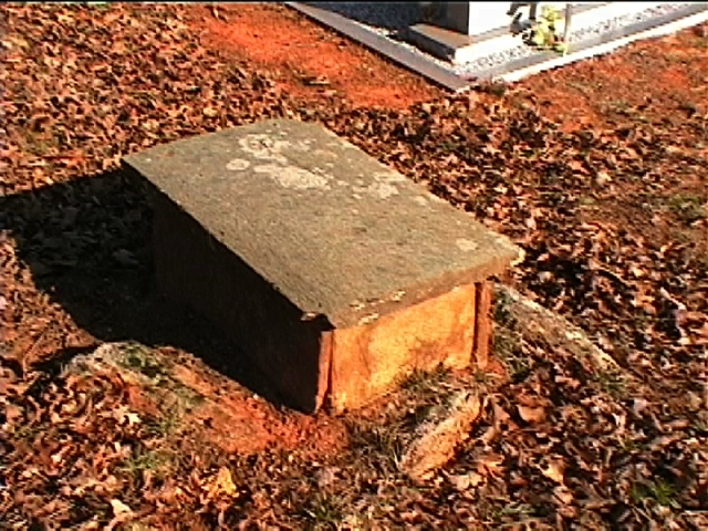 Mount Gilead Cemetery 29