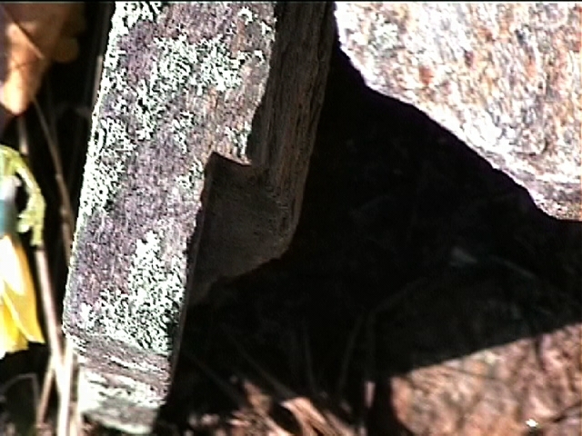 New Bridge Baptist Church Cemetery 29